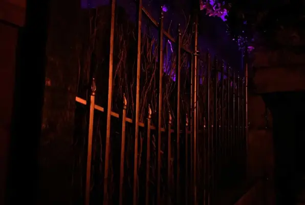 The Curse of the Black Knight (EscapeX Rooms) Escape Room