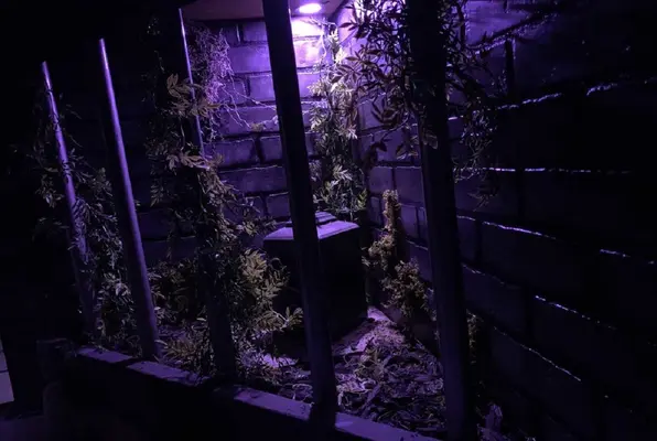 The Curse of the Black Knight (EscapeX Rooms) Escape Room